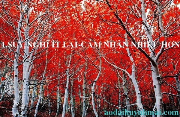 1New_autumn-photography-1