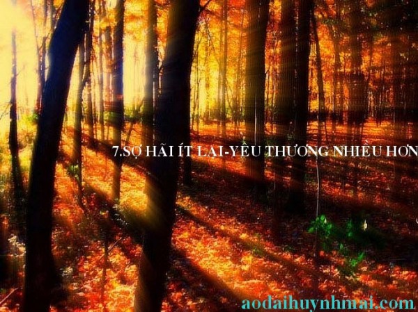 7New_7