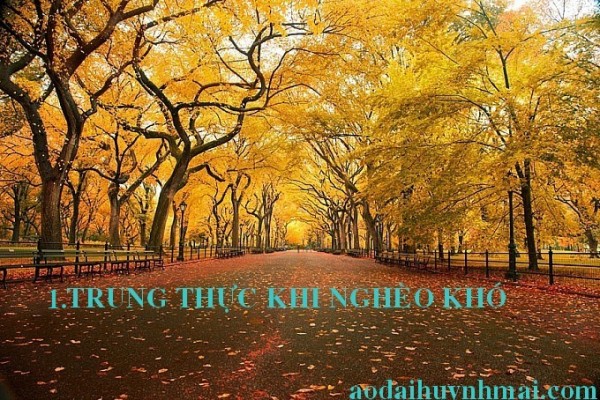 New_autumn-photography-13