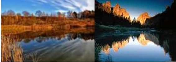 4Untitled 2
