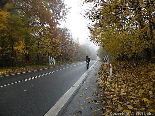 autumn-pictures-fallen-leaves-01.jpg7
