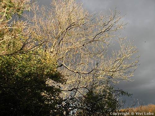 autumn-pictures-sun-and-rain-01.jpg4