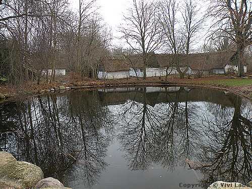 autumn-scenes-98.jpg9