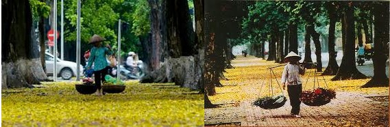 3Untitled 11