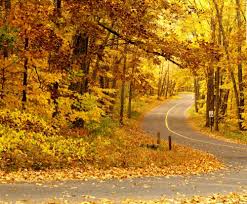 images15
