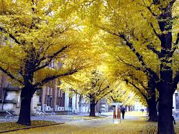 images18