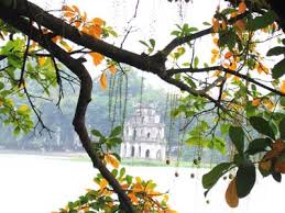 images28
