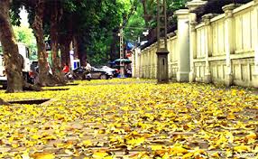 images31