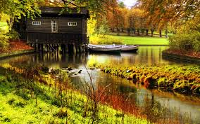 images41