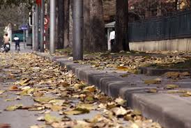 images46