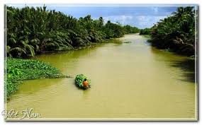 images54