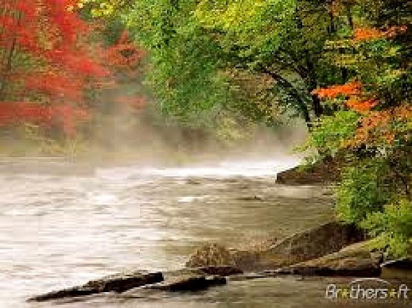 images29