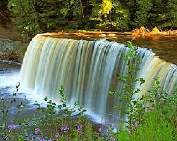 New_images23