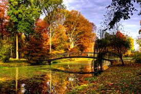 images14