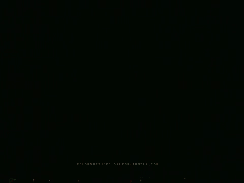fireworks-animated-gif-20