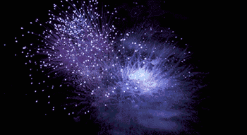 fireworks-animation-53