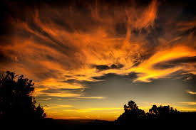 images4