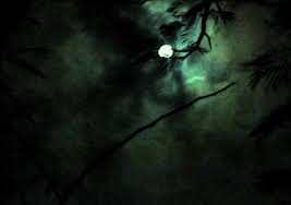 images5