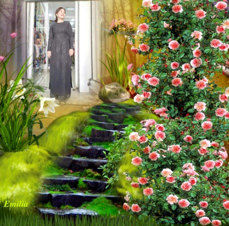 Untitled.jpg26